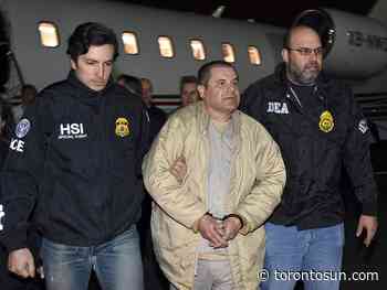 Toronto trucker 'Russian Mike' pleads guilty to moving cocaine for El Chapo - Toronto Sun