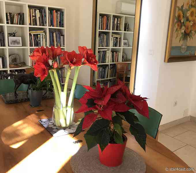Joyeux Noel et Bonne Annee 2021