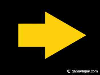 Erba Artificiale mercato: domanda futura e analisi della crescita con previsioni fino al 2029 - Genova Gay