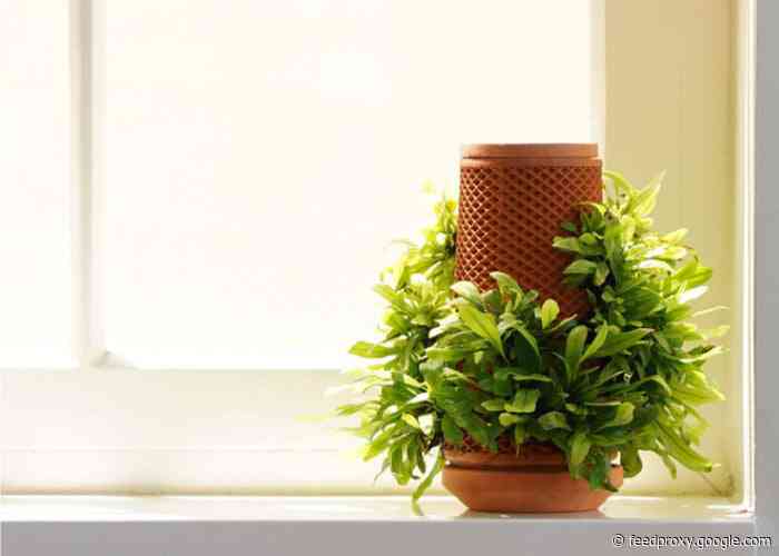 Terraplanter hydroponic planter passes $10 milllion in funding