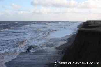Sperm whales die after becoming stranded on East Yorkshire coast - Dudley News