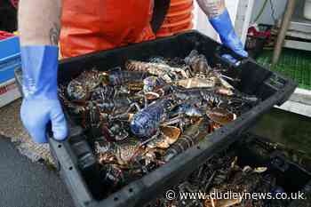 PM has sacrificed fishing to secure trade deal, say industry leaders - Dudley News