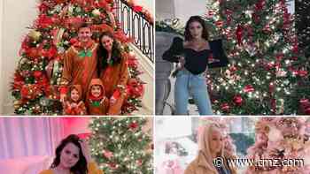 Celebrity Christmas Trees of 2020 ... Get Lit!