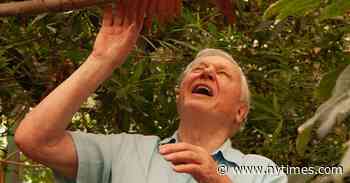 David Attenborough Still Has Hope for Our Future