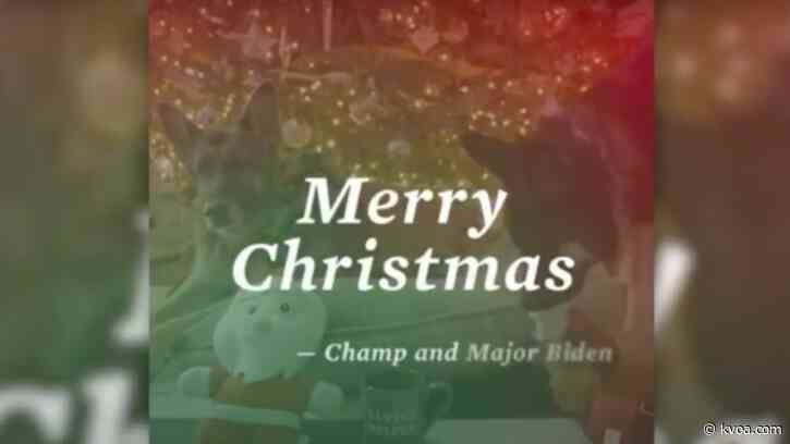 VIDEO: President-elect Biden’s dogs send Christmas wishes