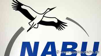 Naturschutzverbände: Sofortige Sicherheitsleistung von Tesla - Süddeutsche Zeitung