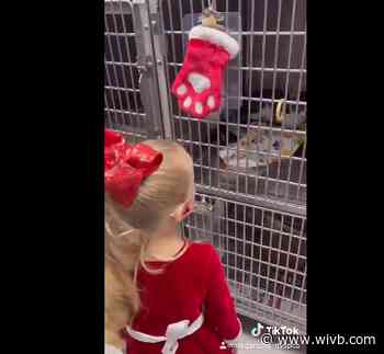 WATCH: Little girl hands out toys to cats and dogs at Niagara County SPCA