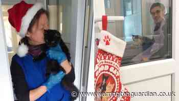 'Purfect' helpers take care of rescued cats in Warrington on Christmas Day