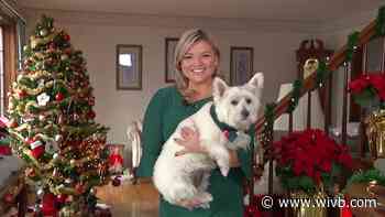 WATCH: Good News With Gabby Holiday Special