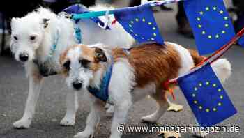 Wichtige Punkte des Handelsabkommens