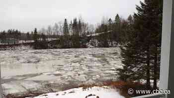 Residents in Quebec town ordered to leave as river water levels rise