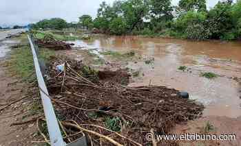 Recomiendan circular con precaución por la ruta a la altura de Coronel Cornejo - El Tribuno.com.ar