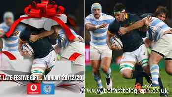 Ulster set to lose superstar Springbok flanker Marcell Coetzee as South African side Bulls' new signing unmasked