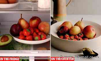 Food waste UK: Brits throw away 42% of the food they buy - but how can they cut down? - Daily Mail