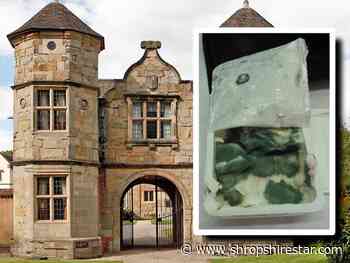 Firm behind Telford hotel fined for hygiene flaws after mouldy food found - shropshirestar.com