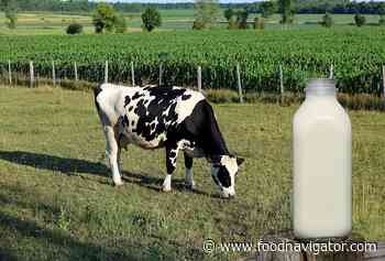 Drinking cow's milk while breastfeeding linked to reduced food allergy risk - FoodNavigator.com