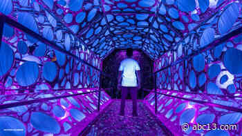 8 most Instagrammable spots at Houston's new amazing art adventure - KTRK-TV