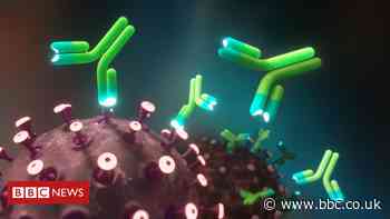 Covid: Post-exposure antibody protection trialled