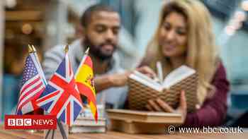 Erasmus: What could happen to the scheme after Brexit?