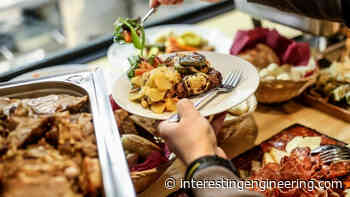 Companies Make Money from Fighting Food Waste - Interesting Engineering