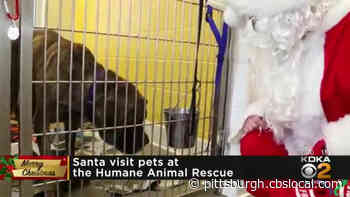 Santa Takes Time On Christmas To Visit Pets At Humane Animal Rescue