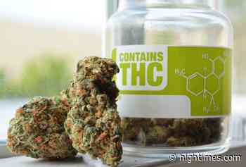 Rhode Island Receives 45 Applications For 6 Medical Marijuana Dispensary Licenses - High Times