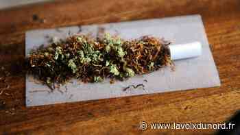 Arras : huit mois de prison ferme pour 16 kilos de cannabis écoulés - La Voix du Nord