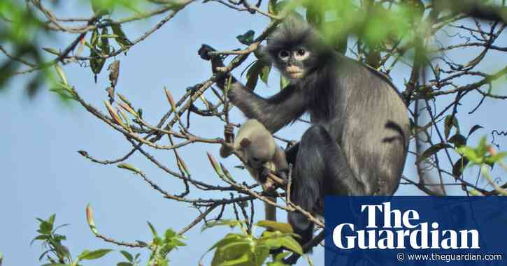 Discovery of 'cryptic species' shows Earth is even more biologically diverse