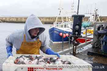 What we know so far about the Brexit trade agreement - Warrington Guardian