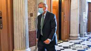 Graham: Trump 'more determined than ever' to get bigger stimulus payments