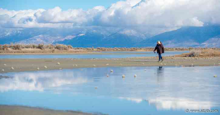 This gift means the Great Salt Lake’s bird sanctuary is now larger and better protected