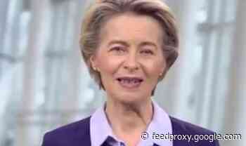 VDL's EU 'success story' video backfires as public slams bloc: 'Pure madness!'