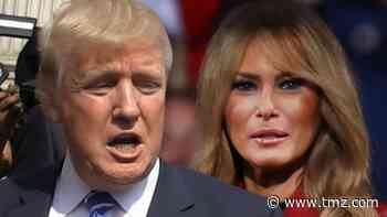 Donald Trump Says 'Elitist Snobs' in Fashion Biz Kept Melania Off Magazine Covers