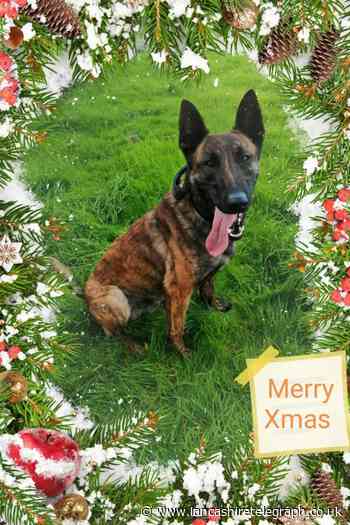Police dog units boys with Christmas present