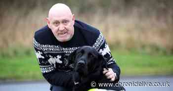 How loveable guide dog Snoopy is helping blind man after Covid recovery