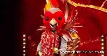 Fans sure they know who Masked Singer's Robin is 'within seconds'
