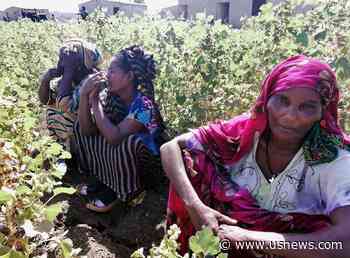 Sudan Taking Control of Land on Border With Ethiopia -Minister