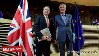 Brexit trade deal 'moment of national renewal', says Lord Frost