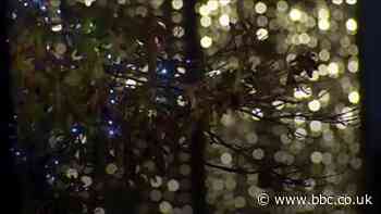 Remembrance trees for those who died in 2020