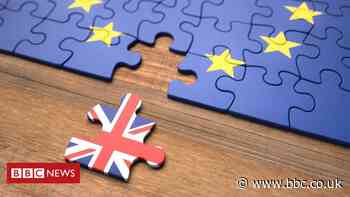 Brexit: Why a trade deal is different for Northern Ireland