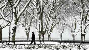 White Christmas: Toronto may get up to 20 cm of snow by mid-Friday - CP24 Toronto's Breaking News