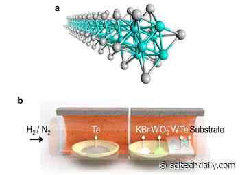 Atomic-Scale Nanowires for Next-Generation Electronics