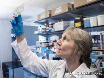 With COVID-19 Exacerbating the Threat of Superbugs, Researchers ID New Chemical Weapon