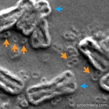 Breaking Bad: How Shattered Chromosomes Make Cancer Cells More Aggressive and Drug-Resistant