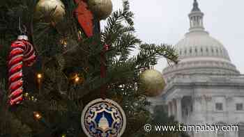 Coronavirus relief bill does not include foreign aid, arts funding | PolitiFact - Tampa Bay Times