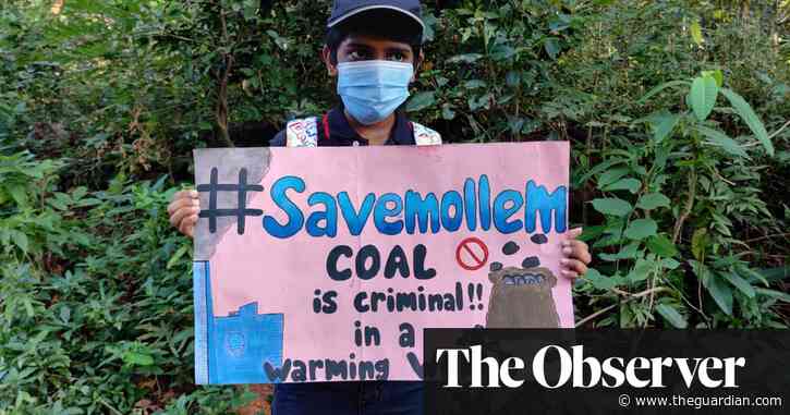 Fury as Goa’s rare wildlife park faces invasion by rail and road