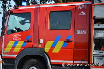Storm Bella trekt over Vlaamse Ardennen