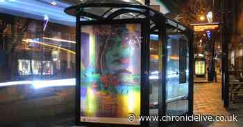 Fascinating artwork on bus stops around County Durham - a photo essay