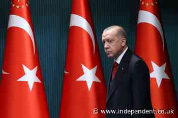 Turkish human rights groups face being shut down as Erdogan passes law stifling NGOs
