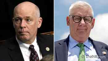 Growing number of House Republicans warm to proxy voting